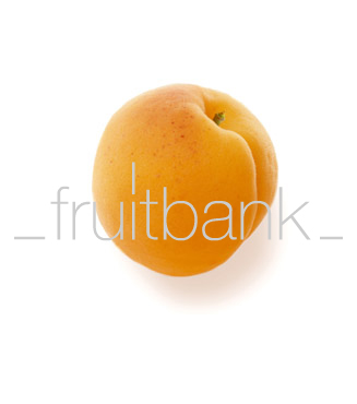 Fruitbank Foto: Aprikose UK003001