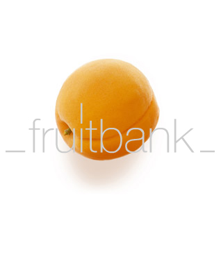 Fruitbank Foto: Aprikose UK003002