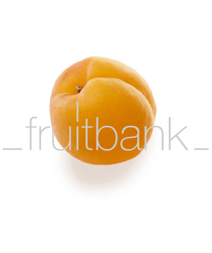 Fruitbank Foto: Aprikose UK003003