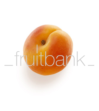 Fruitbank Foto: Aprikose UK003006