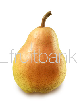Fruitbank Foto: Birne HK006016