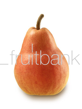 Fruitbank Foto: Birne HK006020