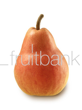 Fruitbank Foto: Birne HK006021