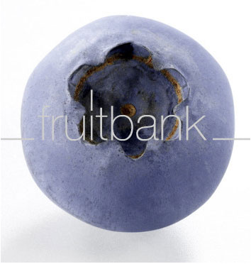 Fruitbank Foto: Blaubeere UK007002