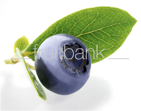 Fruitbank Foto: Blaubeere mit Blatt UK007005