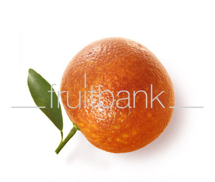 Fruitbank Foto: Blutorange mit Blatt
