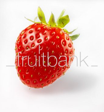 Fruitbank Foto: Erdbeere HK013027