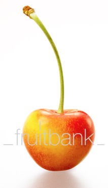 Fruitbank Foto: Süsskirsche gelb-rot mit Stiel UK023016