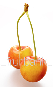 Fruitbank Foto: Süsskirschen gelb-rot mit Stiel UK023017