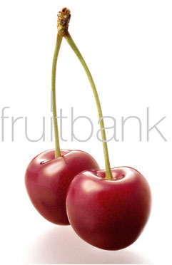 Fruitbank Foto: Süsskirschen mit Stiel UK023018