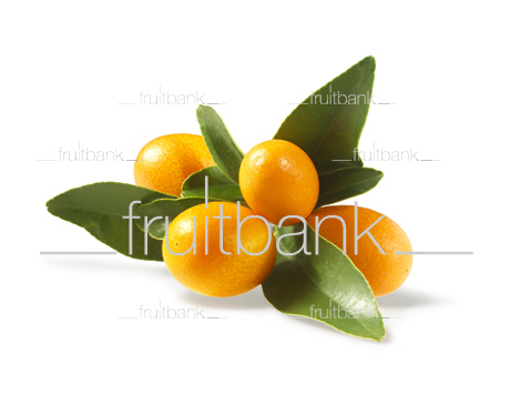 Fruitbank Foto: Kumquat mit Blättern HK025003