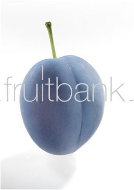 Fruitbank Foto: Pflaume UK032007