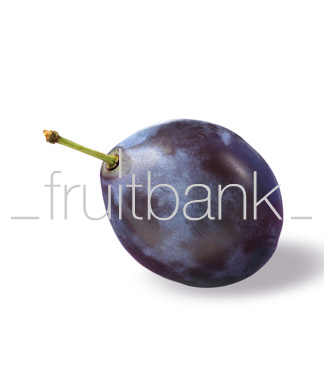 Fruitbank Foto: Pflaume UK032024