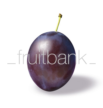 Fruitbank Foto: Pflaume UK032026