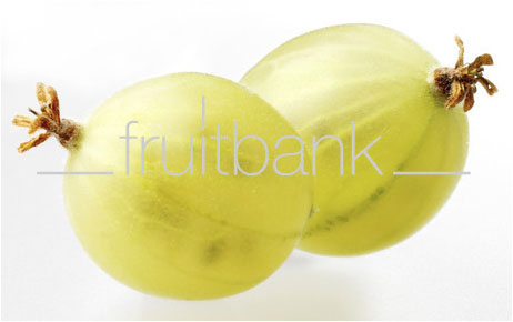 Fruitbank Foto: Grüne Stachelbeeren UK034008