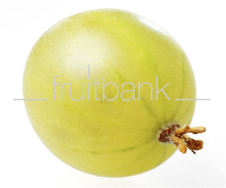 Fruitbank Foto: Grüne Stachelbeere UK034010