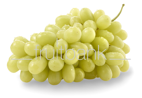 Fruitbank Foto: Grüne Weintrauben mit Wassertropfen HK046002