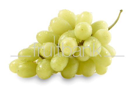 Fruitbank Foto: Grüne Weintrauben mit Wassertropfen HK046009