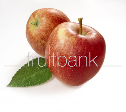 Fruitbank Foto: Zwei Äpfel mit Blatt UK002035