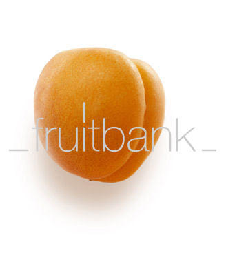 Fruitbank Foto: Aprikose UK003009