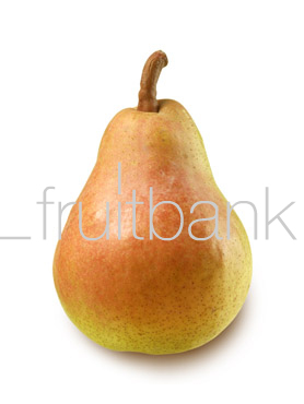 Fruitbank Foto: Birne HK006018