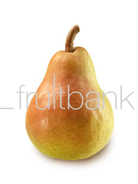 Fruitbank Foto: Birne HK006019