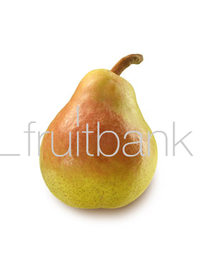 Fruitbank Foto: Birne HK006022