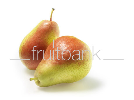 Fruitbank Foto: Birne HK006026