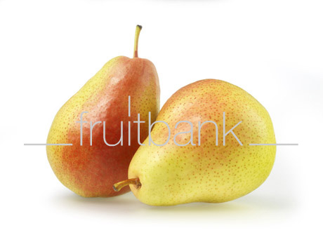 Fruitbank Foto: Birne HK006029