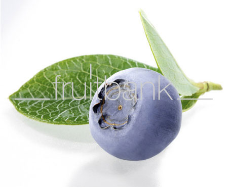 Fruitbank Foto: Blaubeere mit Blatt UK007007