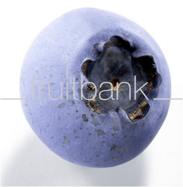 Fruitbank Foto: Blaubeere UK007013