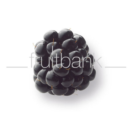 Fruitbank Foto: Brombeere UK008046