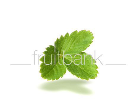 Fruitbank Foto: Erdbeerblatt UK013022