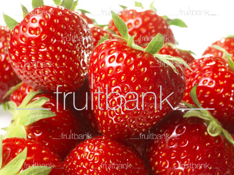 Fruitbank Foto: Erdbeergruppe UK013034