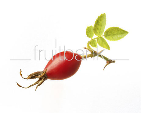 Fruitbank Foto: Hagebutte mit Blatt UK016006