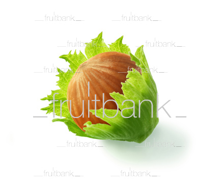 Fruitbank Foto: Haselnuss HK014004