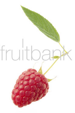 Fruitbank Foto: Himbeere mit Blatt UK018031