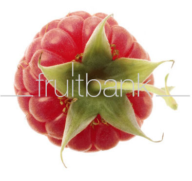 Fruitbank Foto: Himbeere mit Stiel UK018033