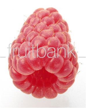 Fruitbank Foto: Himbeere UK018039