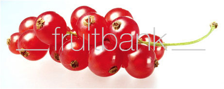 Fruitbank Foto: Rote Johannisbeeren Rispe UK021020