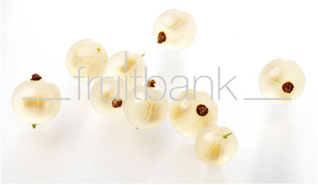 Fruitbank Foto: Weisse Johannisbeeren UK021030