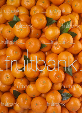 Fruitbank Foto: Mandarinen-Teppich mit Blättern HK029005