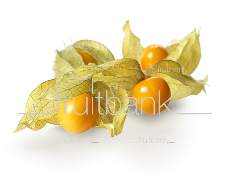 Fruitbank Foto: Physalis UK039008