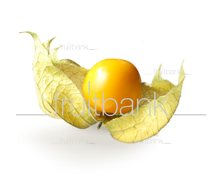 Fruitbank Foto: Physalis UK039009