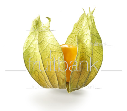 Fruitbank Foto: Physalis UK039010