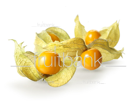 Fruitbank Foto: Physalis UK039012