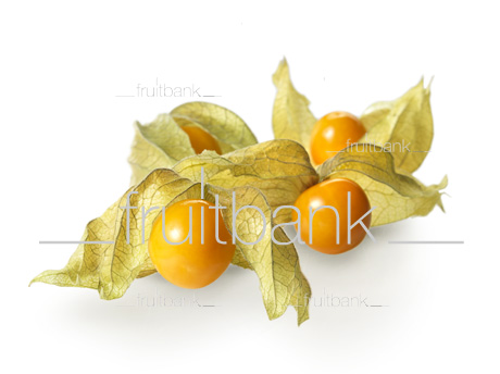 Fruitbank Foto: Physalis UK039013