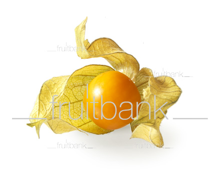 Fruitbank Foto: Physalis UK039014