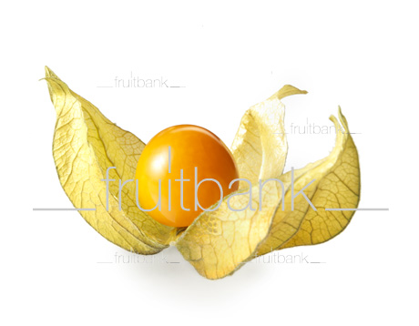 Fruitbank Foto: Physalis UK039015