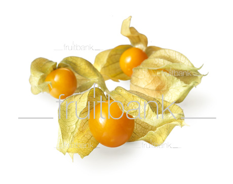 Fruitbank Foto: Physalis UK039016